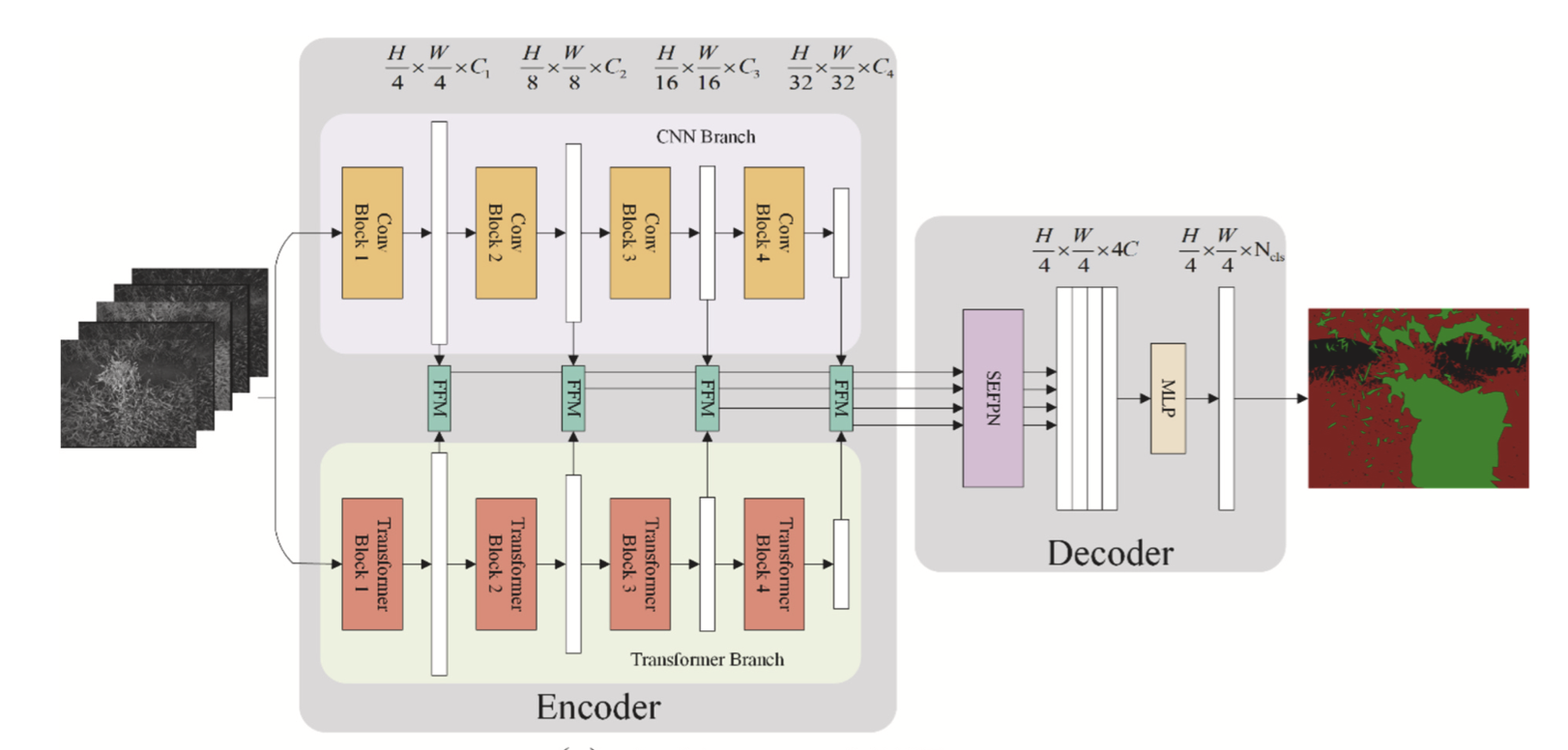 Computers and Electronics in Agriculture Dual-Branch paper thumbnail